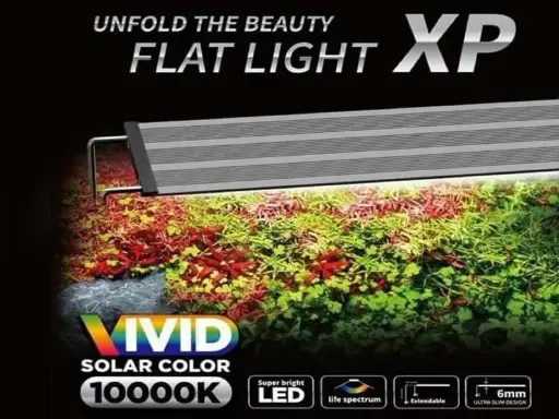 NEO HELIOS XP-800 LIGHT